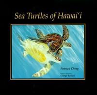 Sea Life Sea Turtles of Hawaii