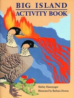 Color & Activity Books Big Island Activity Book