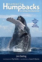 Sea Life Hawaii's Humpbacks: Unveiling the Mysteries