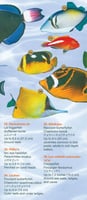 Fishes of Hawaii (English and Japanese)