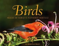 Pictorials Birds