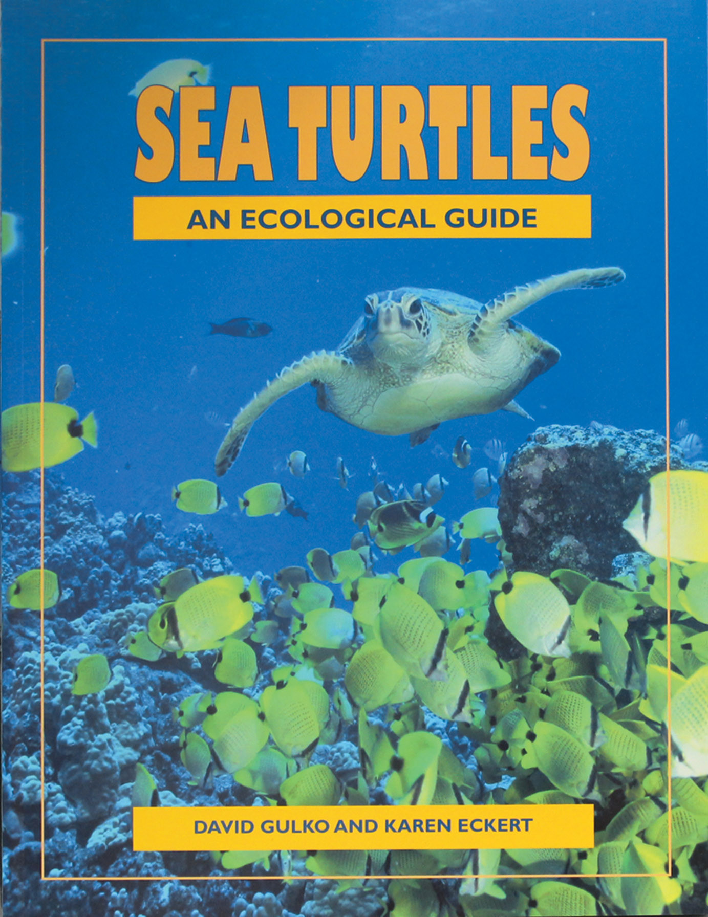 Sea Turtles An Ecological Guide